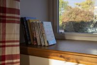 Books in window.jpg