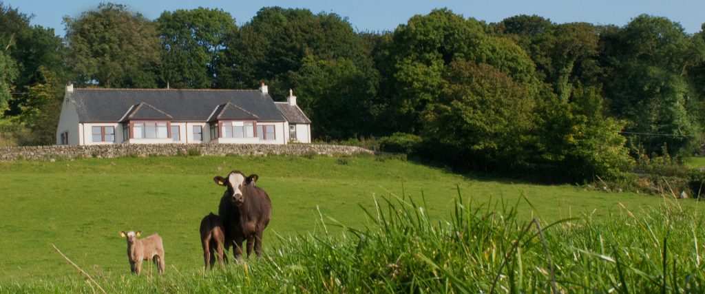 Spittal Farm.jpg
