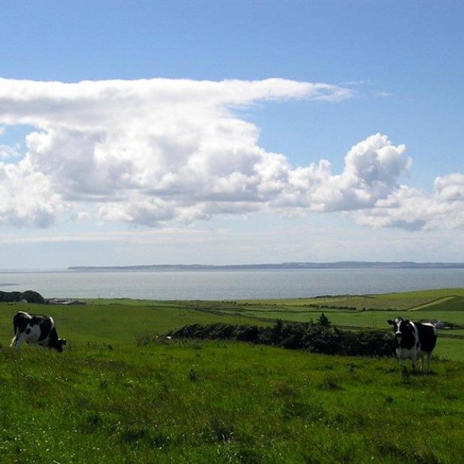 Chapleton Farm Cottages.jpg