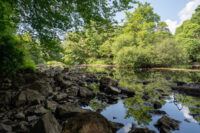 Riverbank