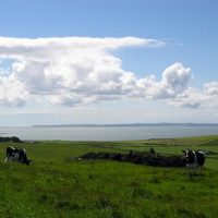 Chapleton Farm Cottages.jpg