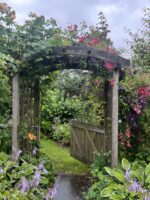 025 Garden rose arch.jpeg