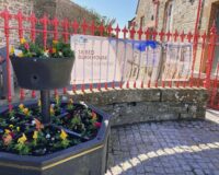 railings and flowers.jpg